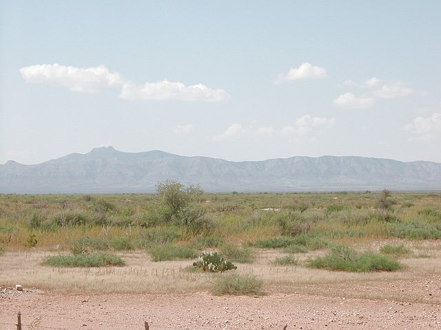 <b>