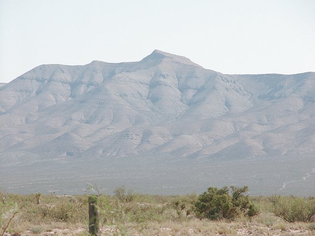 <b>
