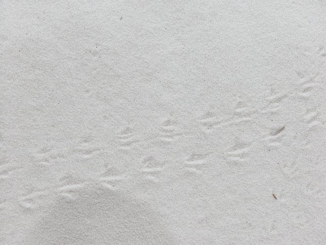 <b>