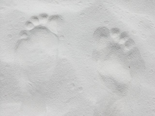 <b>weisse Spuren im Sand